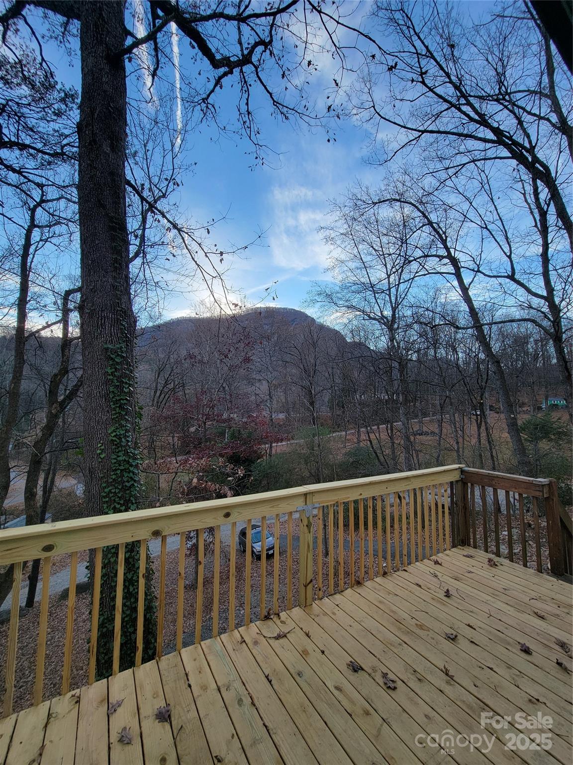 138 Buddy Lane Chimney Rock NC 28720