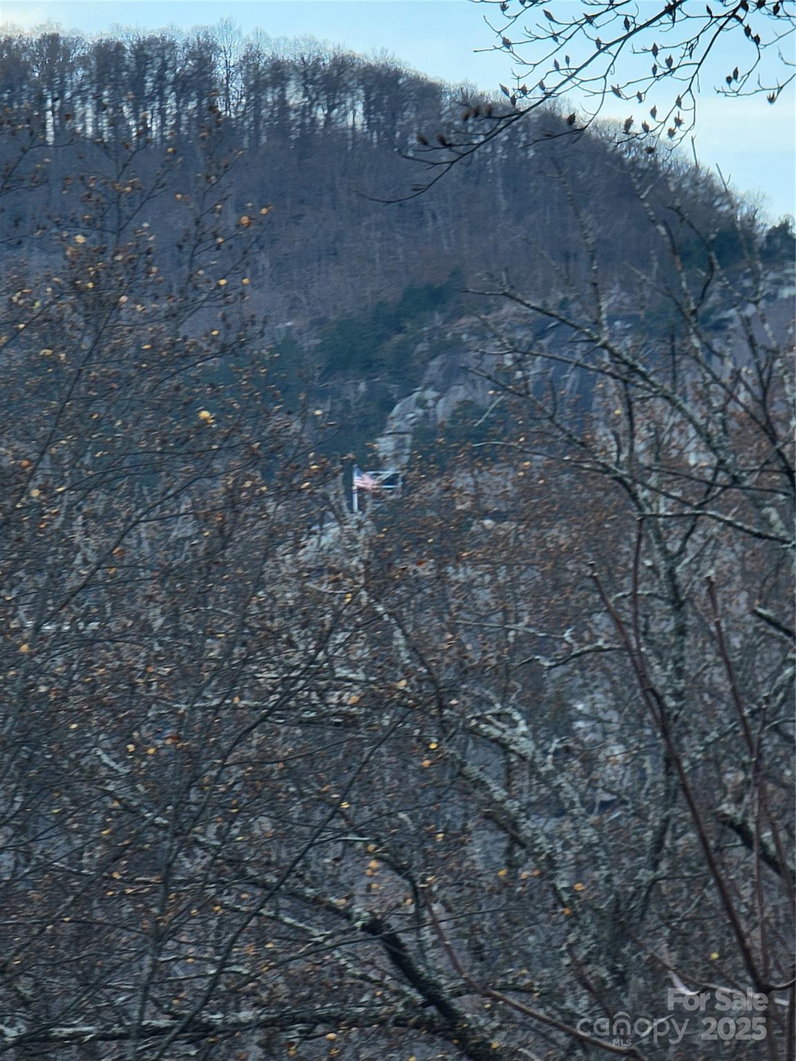138 Buddy Lane Chimney Rock NC 28720