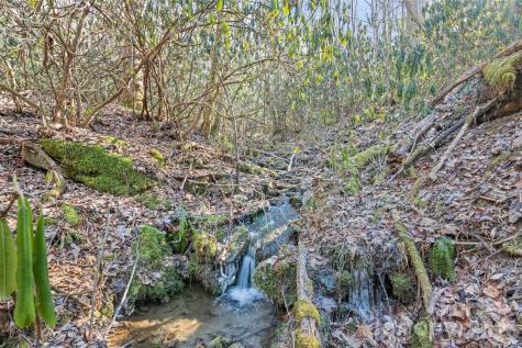 831 Forest Run Road Whittier NC 28789