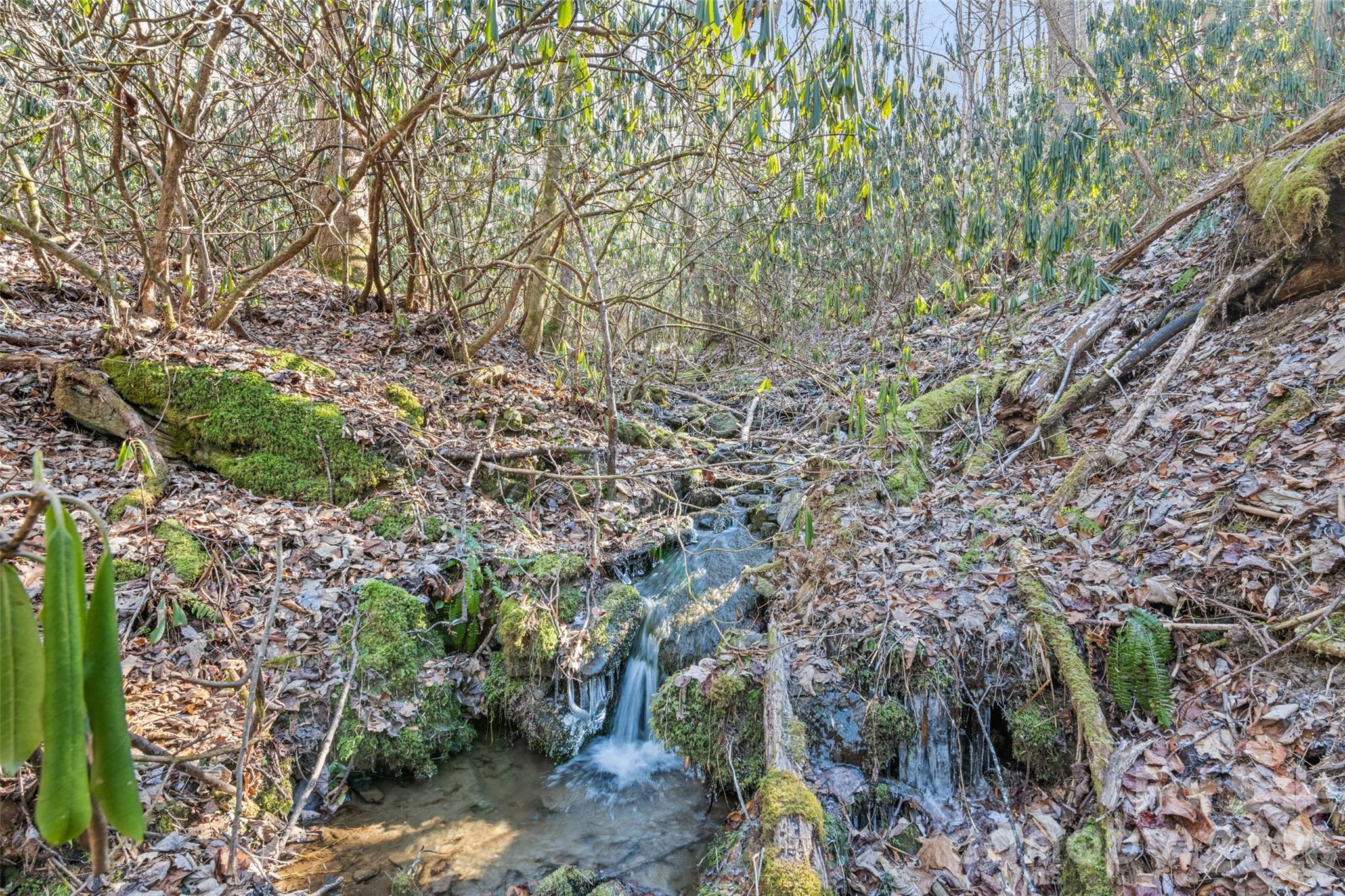 831 Forest Run Road Whittier NC 28789