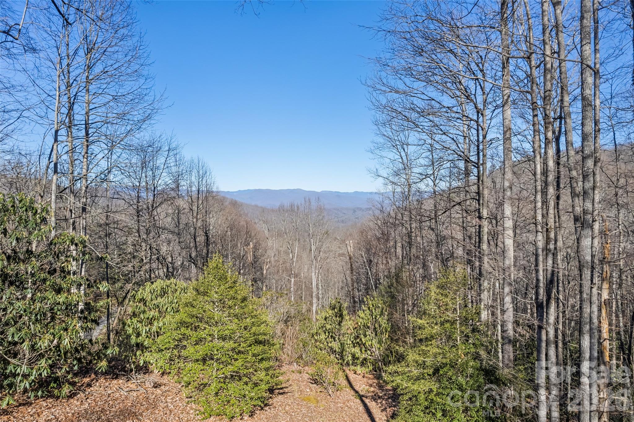 831 Forest Run Road Whittier NC 28789