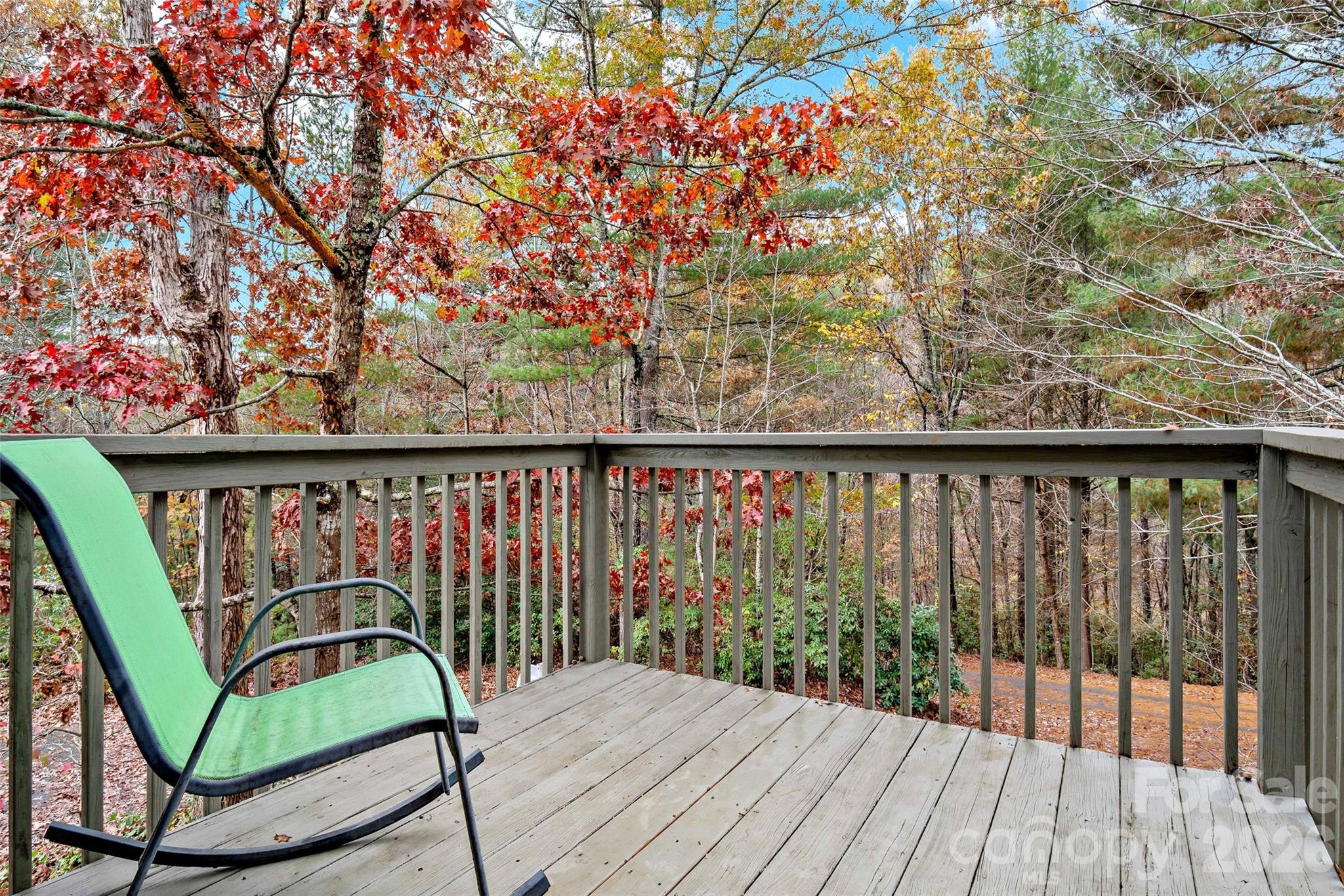 65 Gypsy Mountain Drive Marion NC 28752