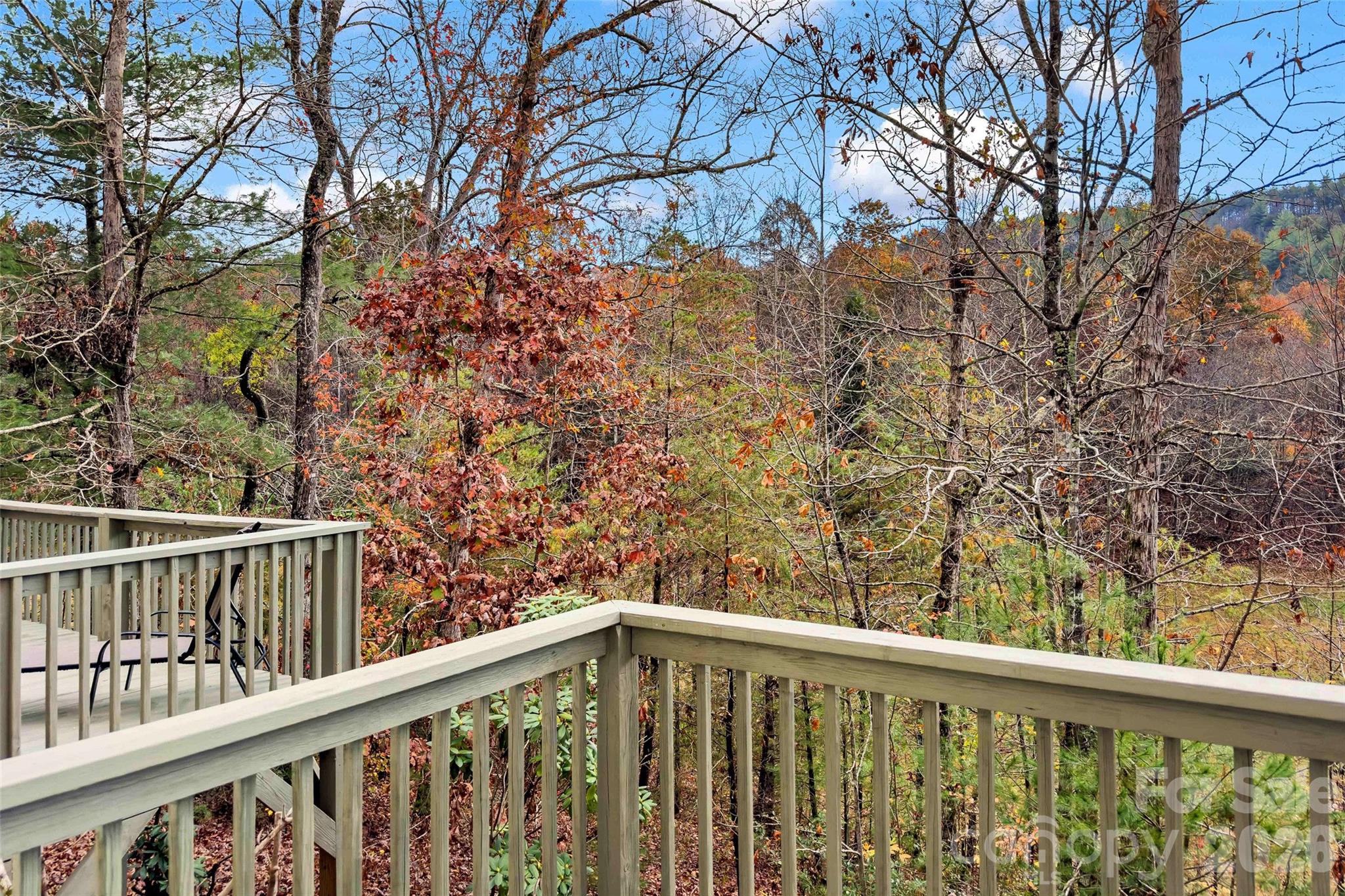 65 Gypsy Mountain Drive Marion NC 28752
