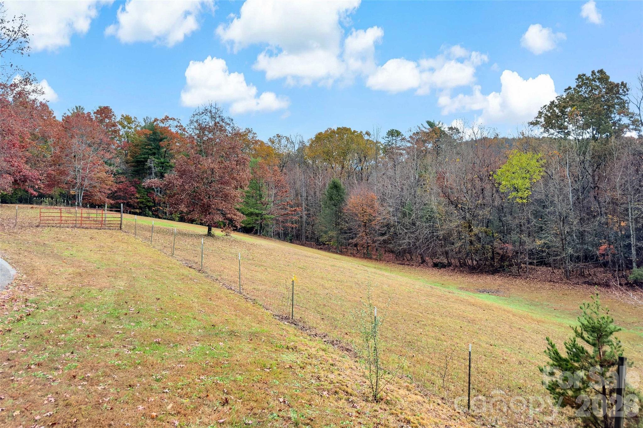 65 Gypsy Mountain Drive Marion NC 28752