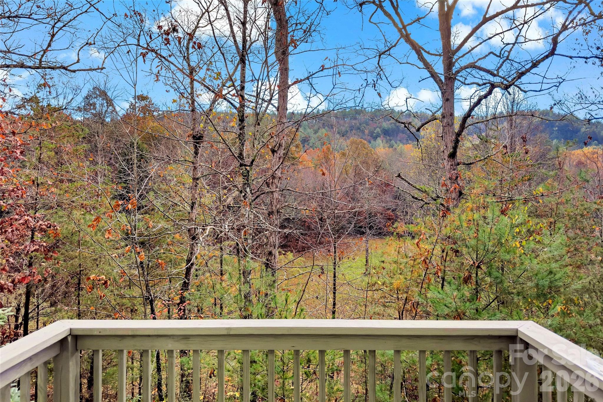 65 Gypsy Mountain Drive Marion NC 28752
