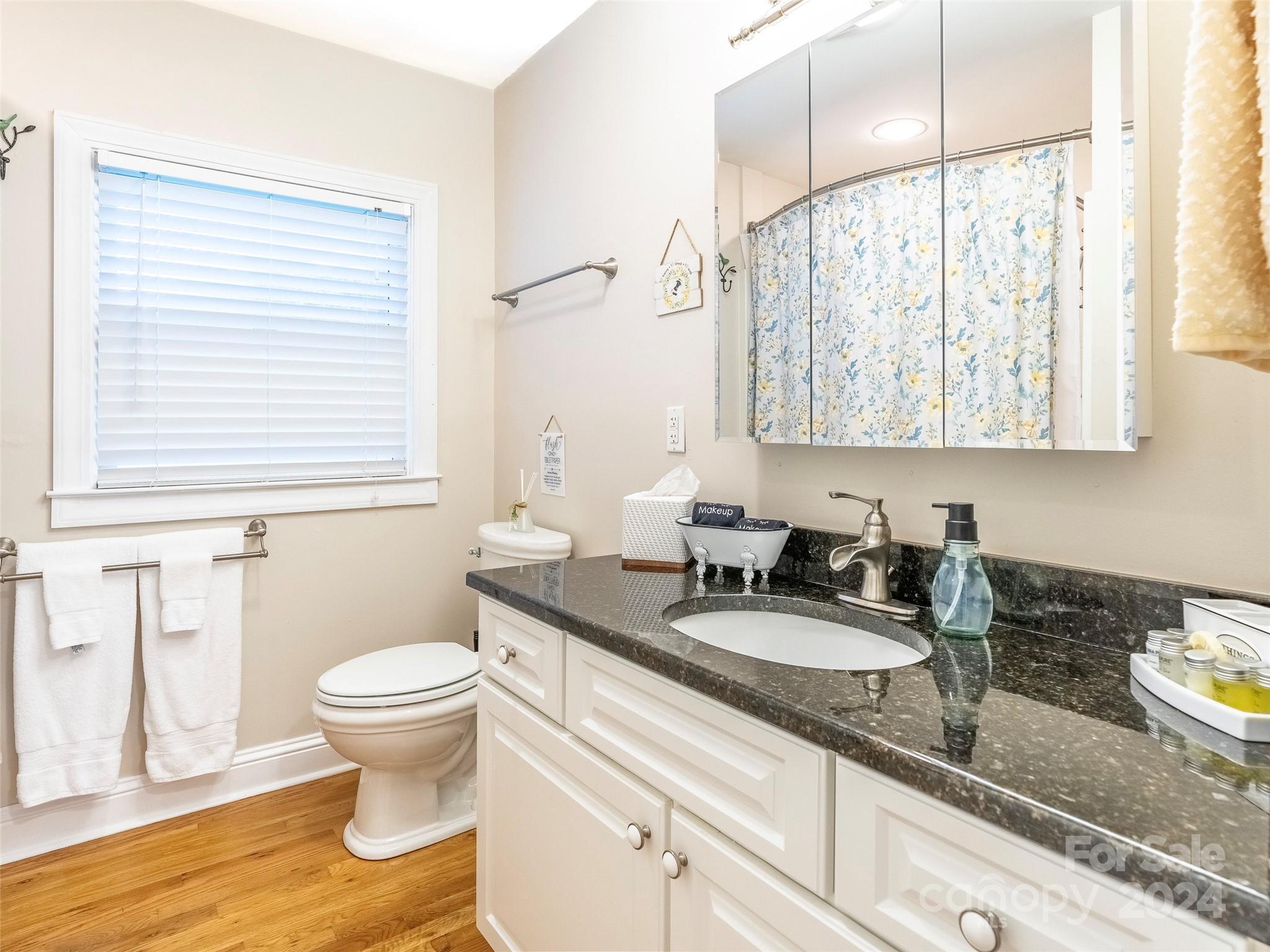 38 S Hill Street Waynesville NC 28786