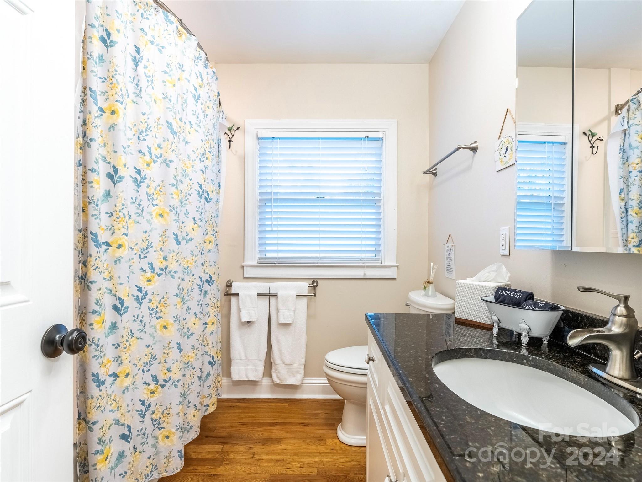 38 S Hill Street Waynesville NC 28786