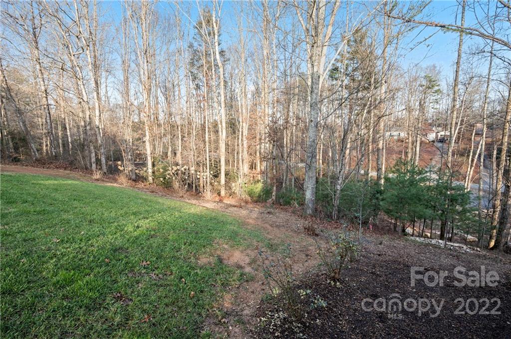 105 Wyatt Andrew Drive Mills River NC 28759