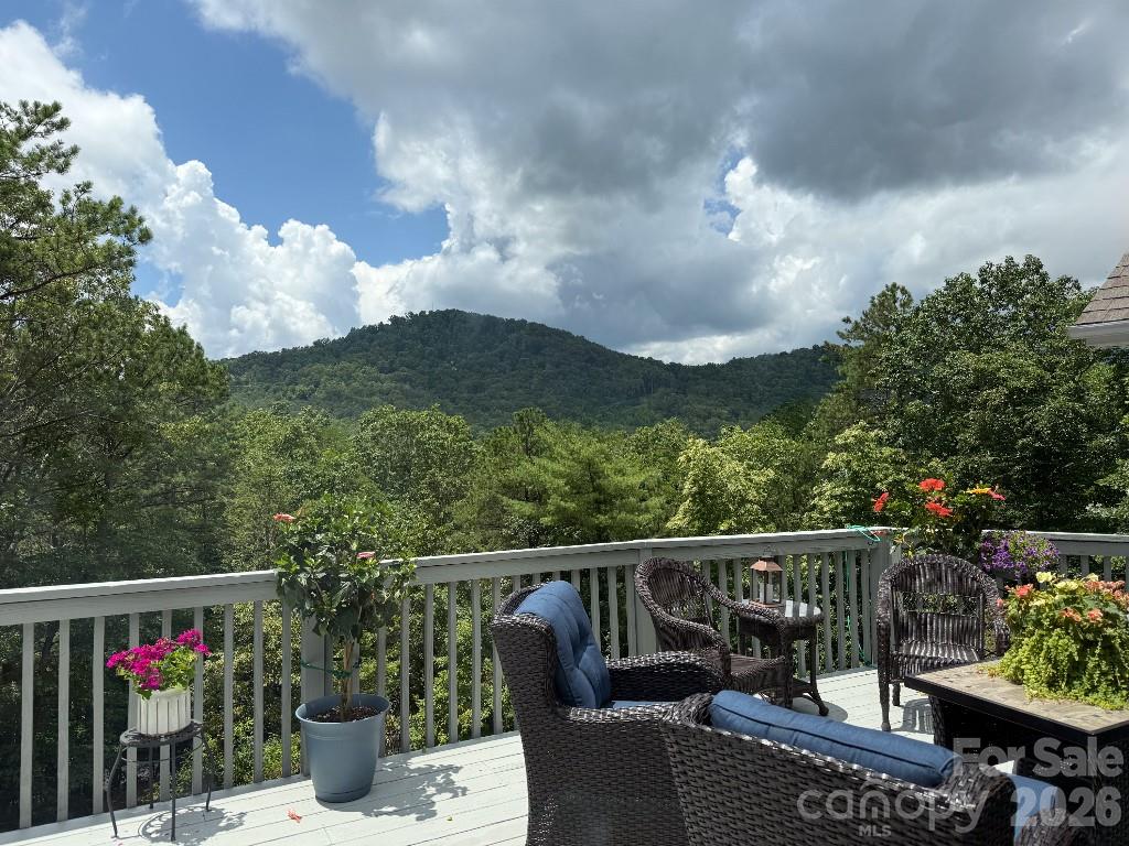Black Mountain NC, 36 Lynx Drive