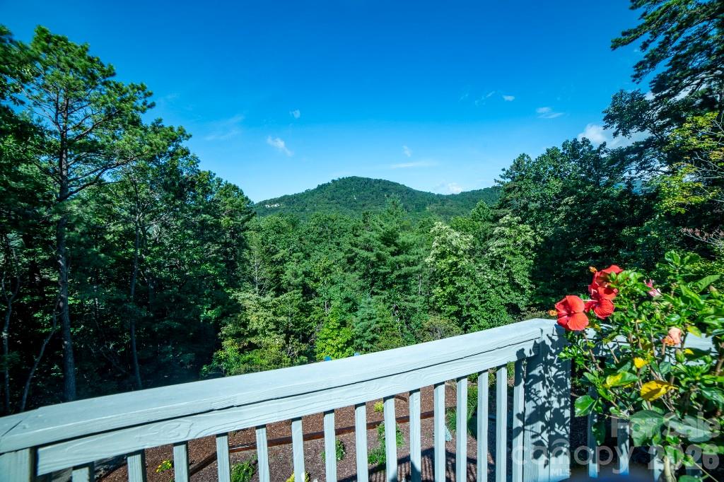 36 Lynx Drive Black Mountain NC 28711