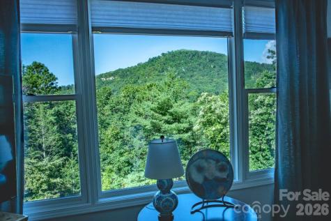 36 Lynx Drive Black Mountain NC 28711