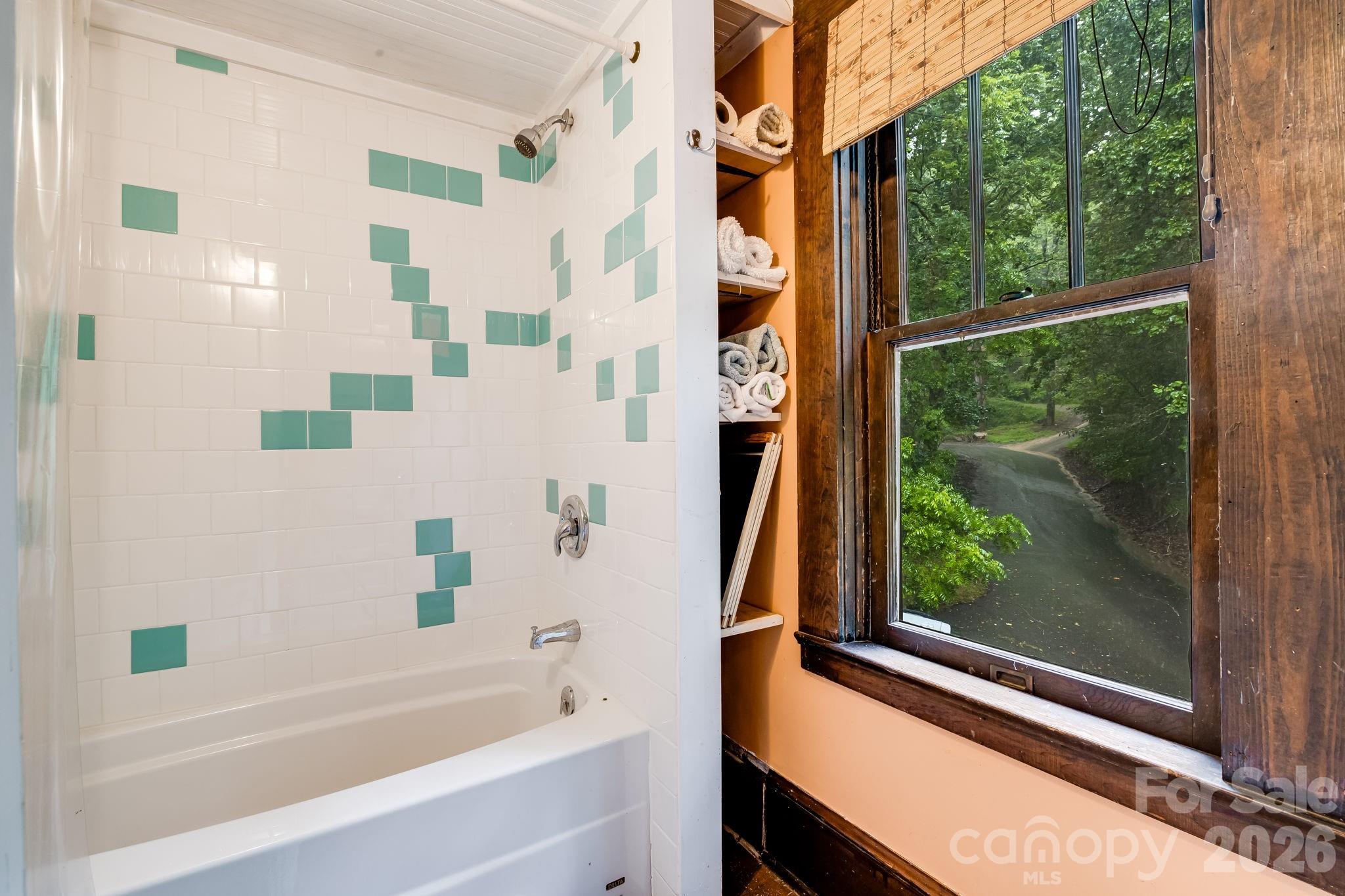 257 Henderson Drive Hot Springs NC 28743