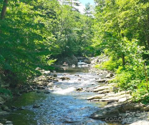 257 Henderson Drive Hot Springs NC 28743
