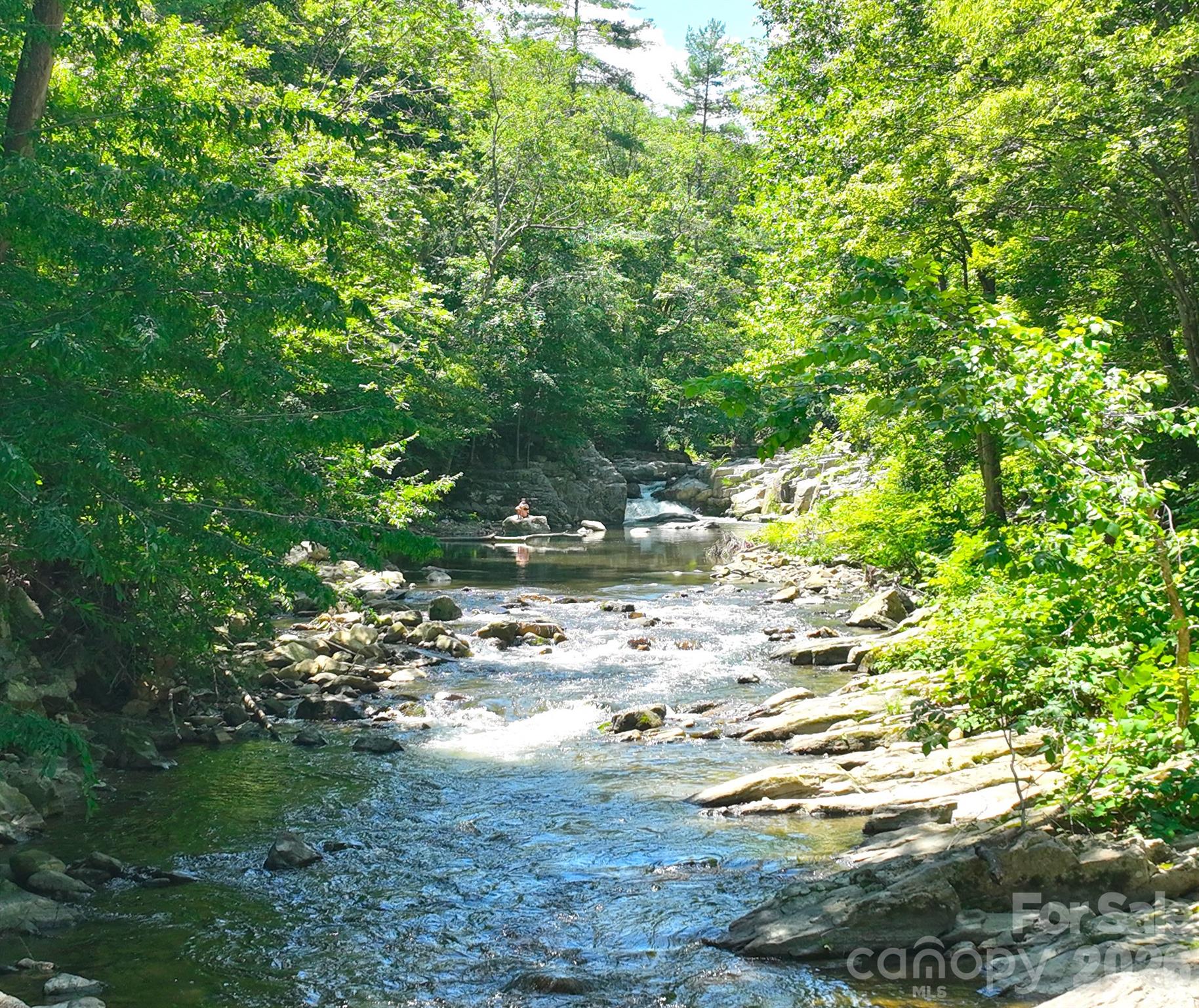 257 Henderson Drive Hot Springs NC 28743