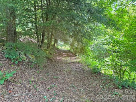 257 Henderson Drive Hot Springs NC 28743