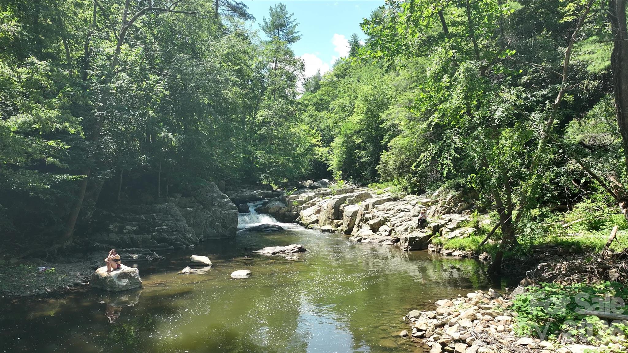 257 Henderson Drive Hot Springs NC 28743