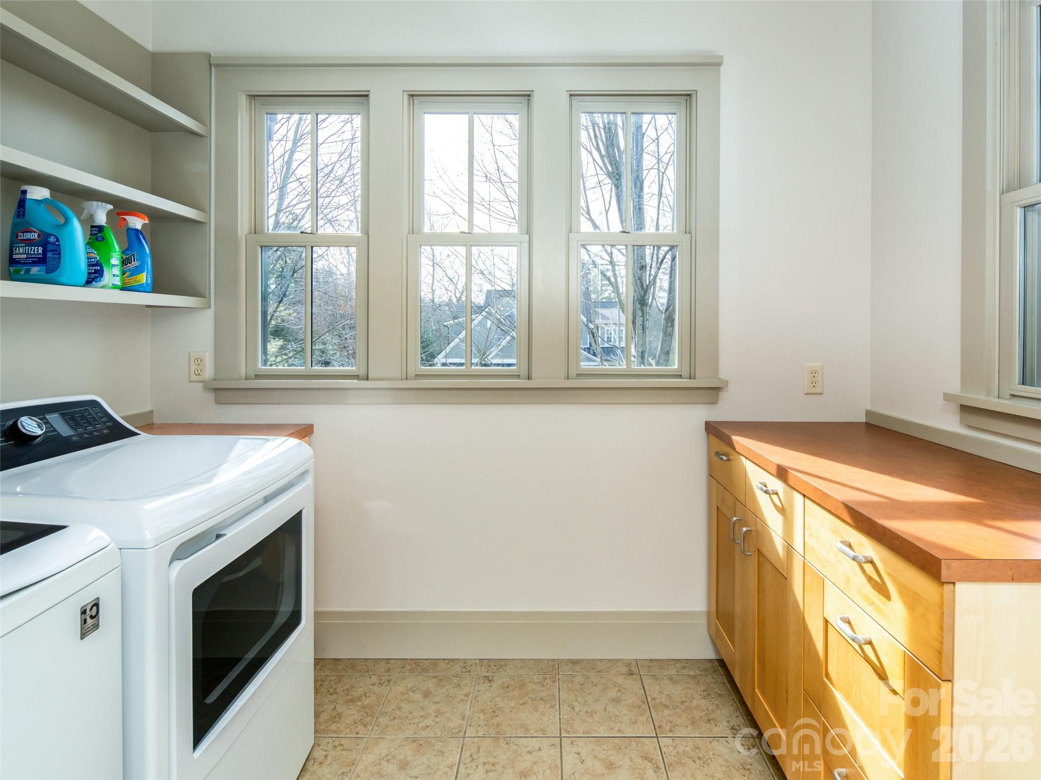 1002 Coves Pheasant Court Biltmore Lake NC 28715