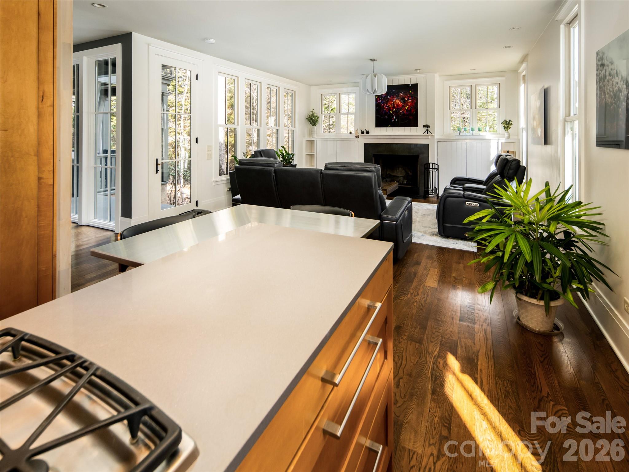 1002 Coves Pheasant Court Biltmore Lake NC 28715