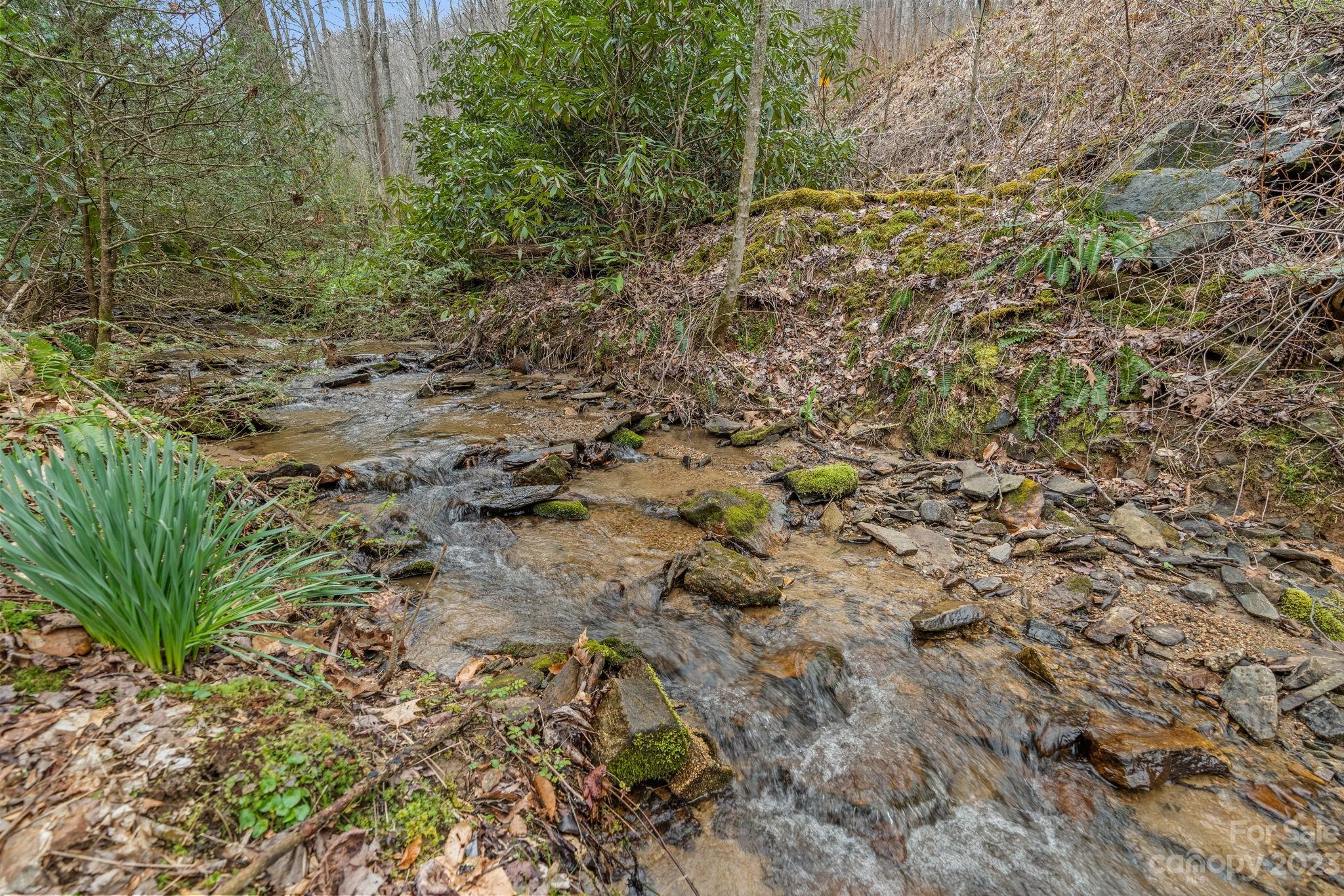 1081 Garren Creek Road Fairview NC 28730