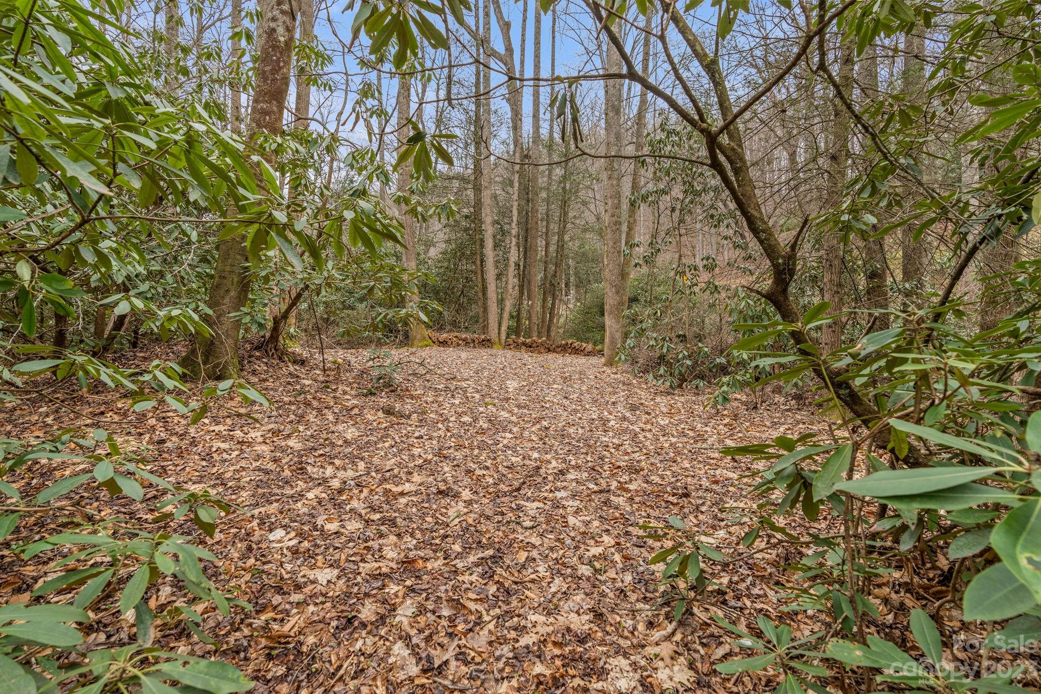 1081 Garren Creek Road Fairview NC 28730