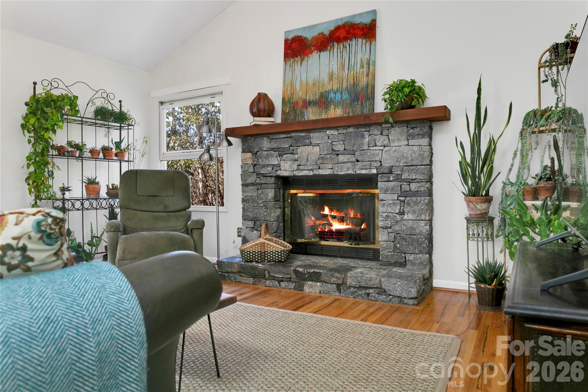30 Tala Court Brevard NC 28712