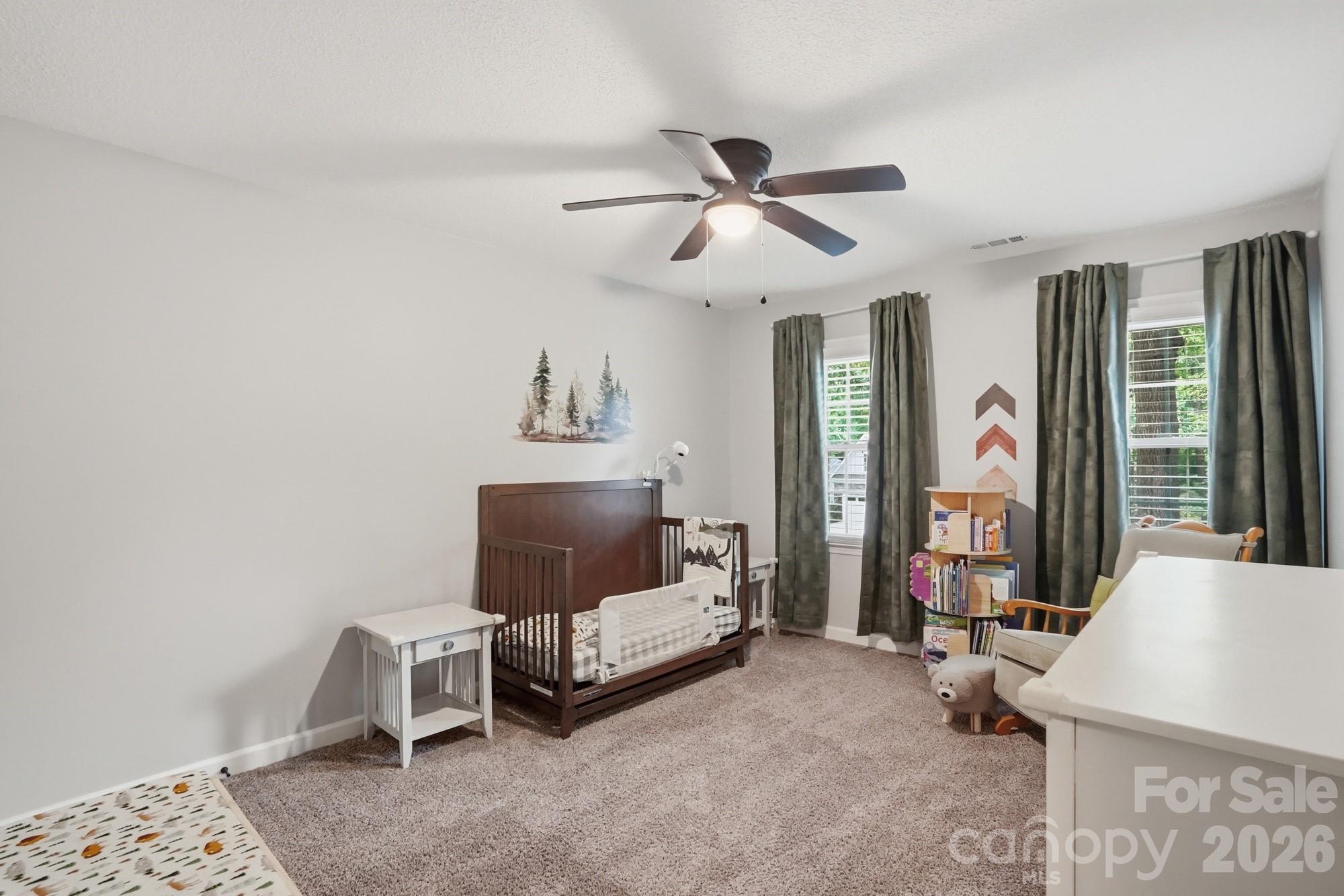 10646 S Hall Drive Charlotte NC 28270