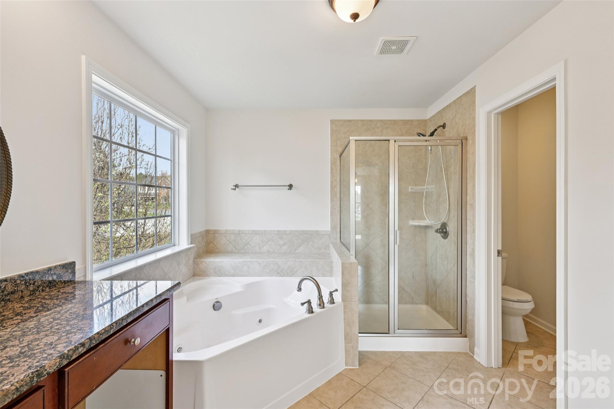 10901 Trout Creek Place Davidson NC 28036