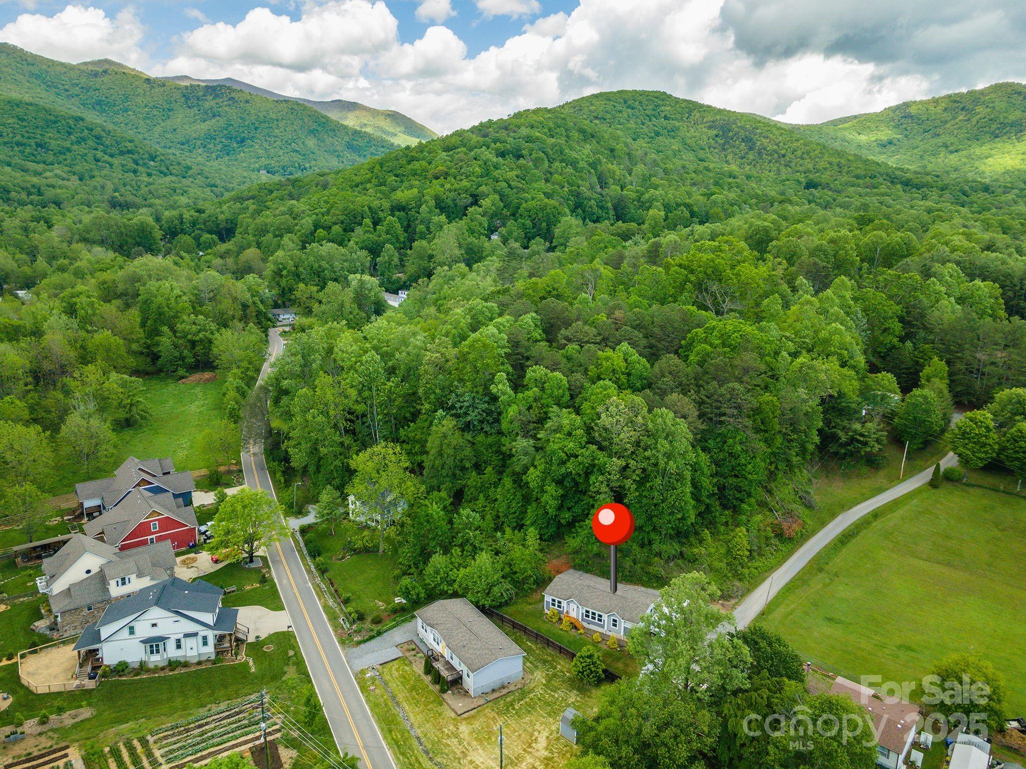 11 Bartlett Avenue Black Mountain NC 28711