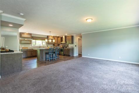 11 Bartlett Avenue Black Mountain NC 28711