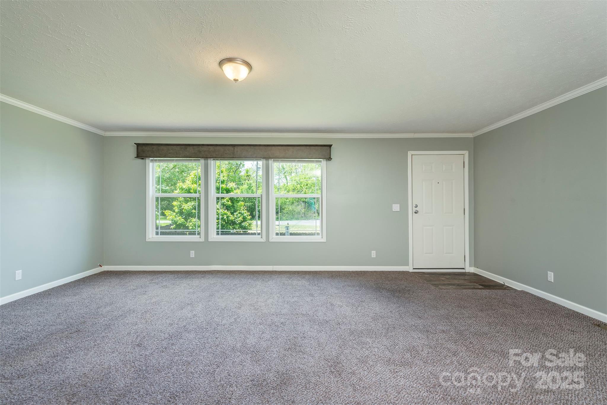 11 Bartlett Avenue Black Mountain NC 28711