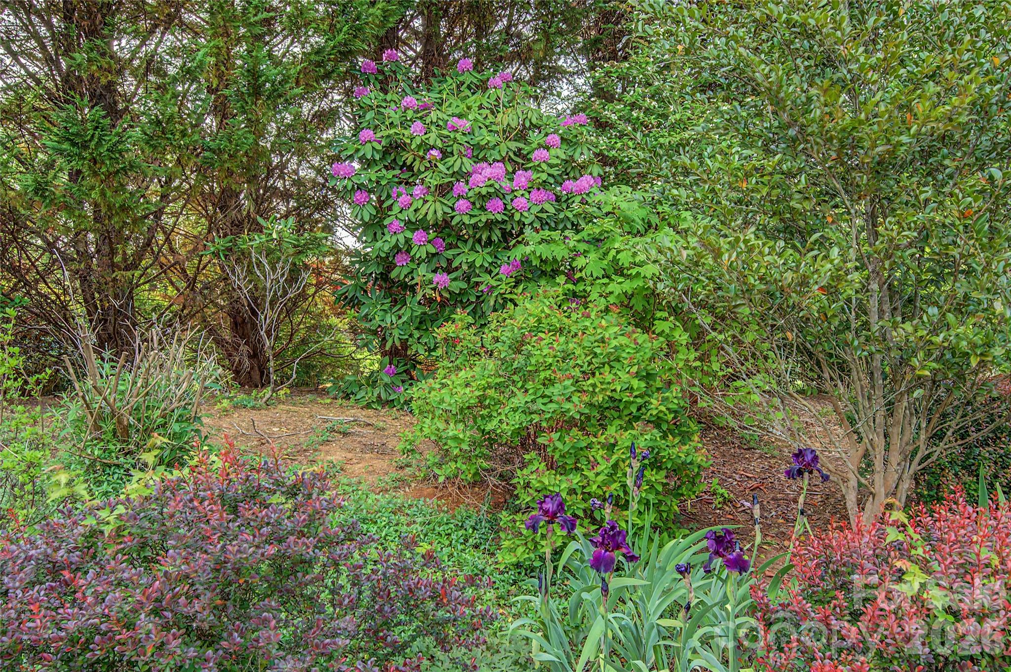 57 Talon Trail Lane Etowah NC 28729