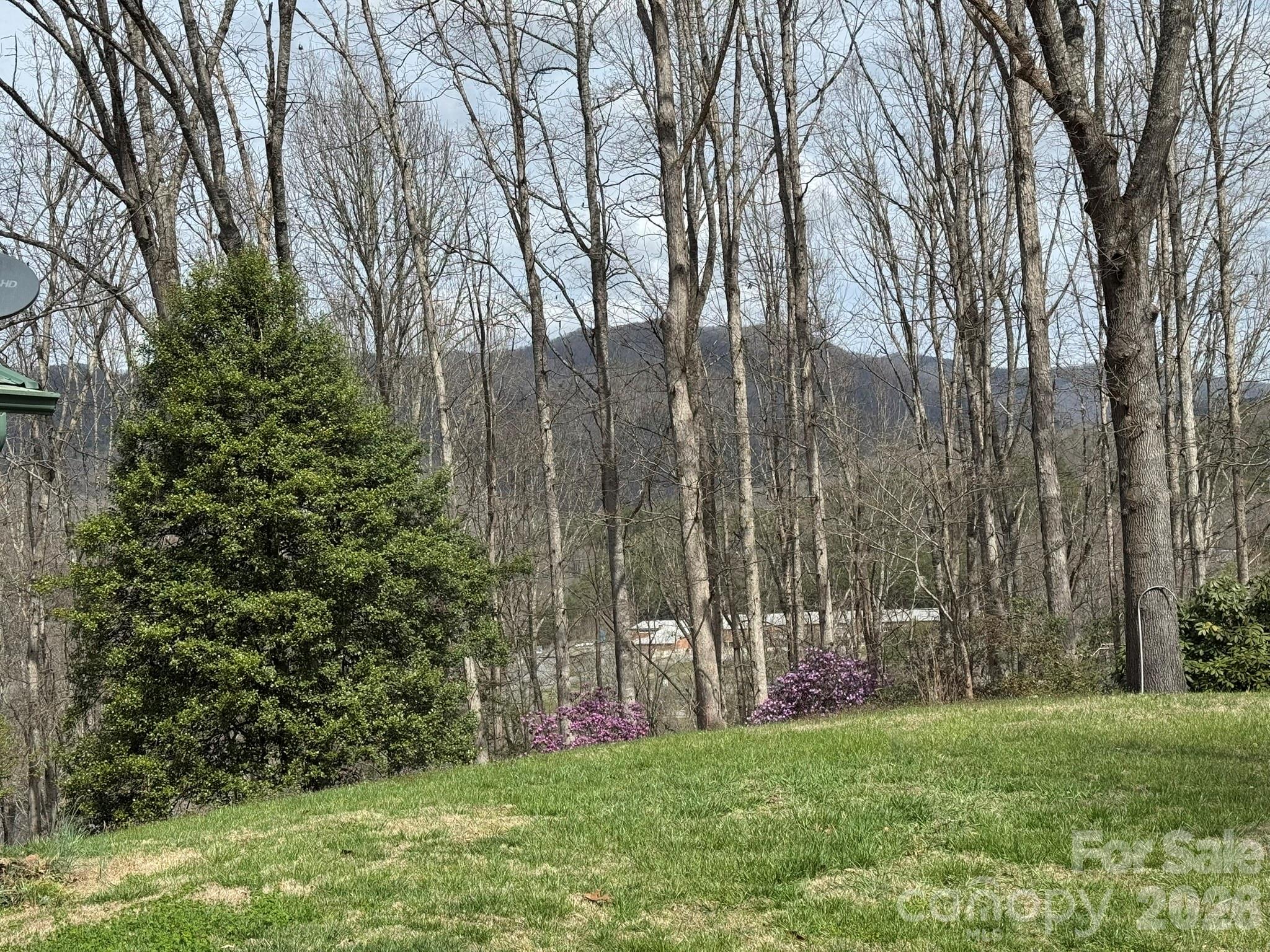 470 Ela Lane Bryson City NC 28713