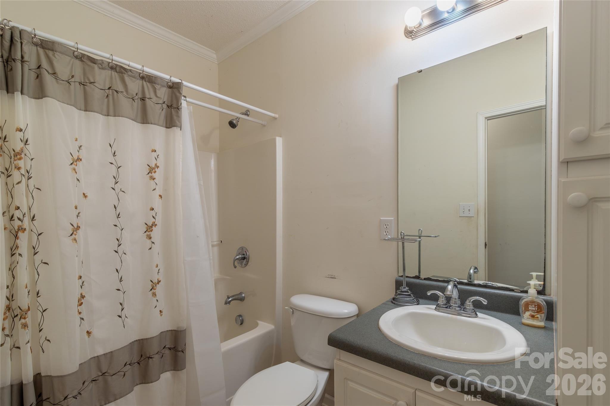 1564 Camp Creek Road Whittier NC 28789