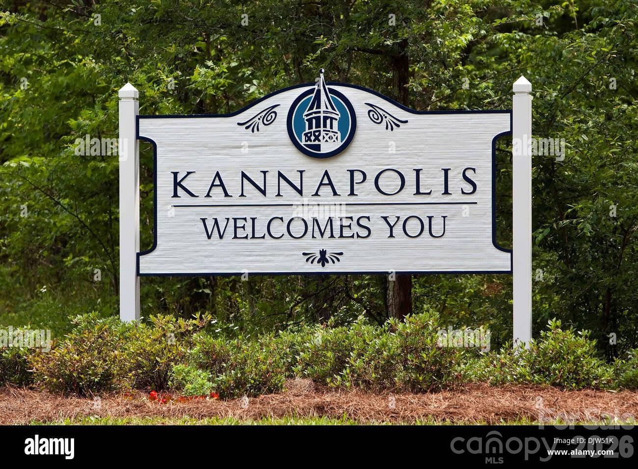 315 S Rose Avenue Kannapolis NC 28083
