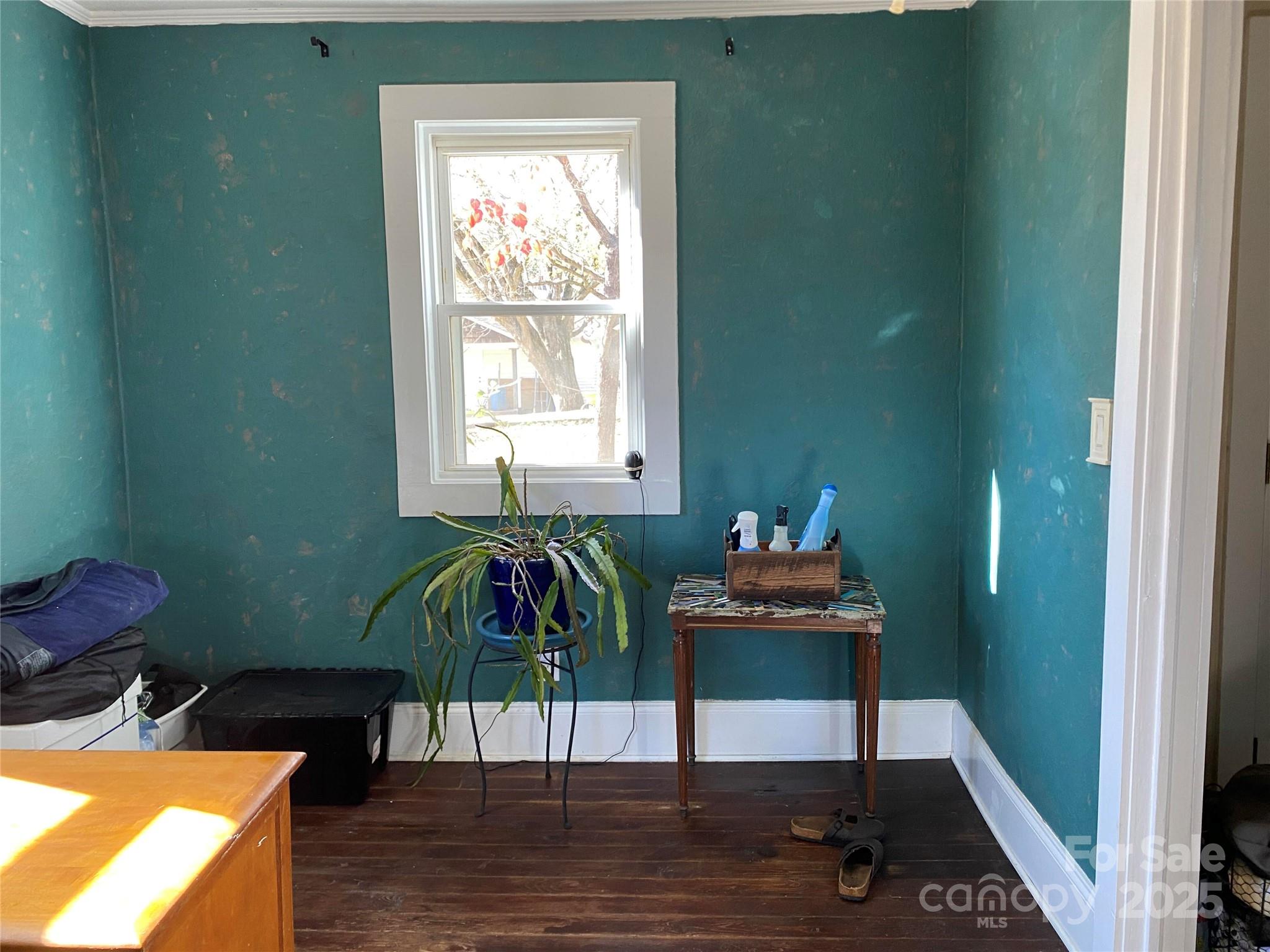 24 Ridge Avenue Asheville NC 28803