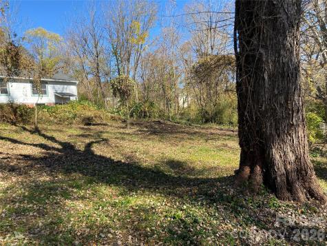 24 Ridge Avenue Asheville NC 28803