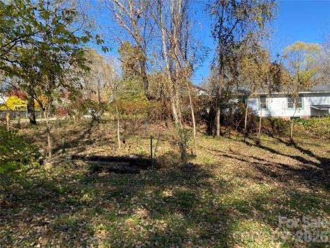 24 Ridge Avenue Asheville NC 28803