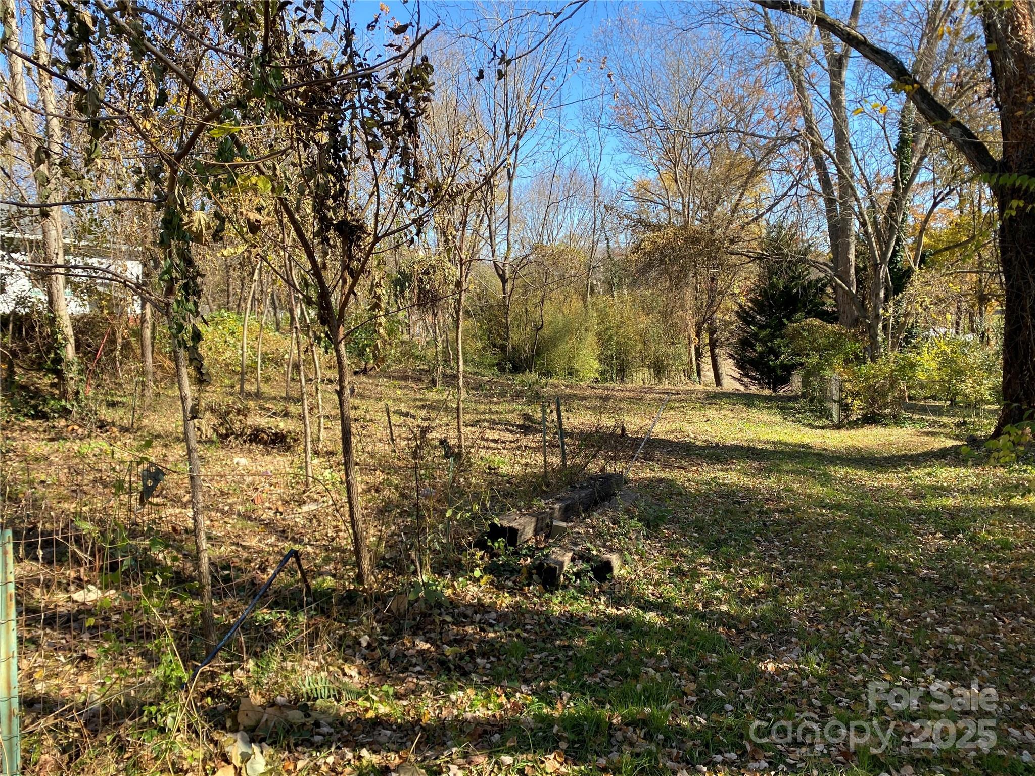 24 Ridge Avenue Asheville NC 28803