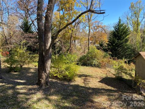 24 Ridge Avenue Asheville NC 28803