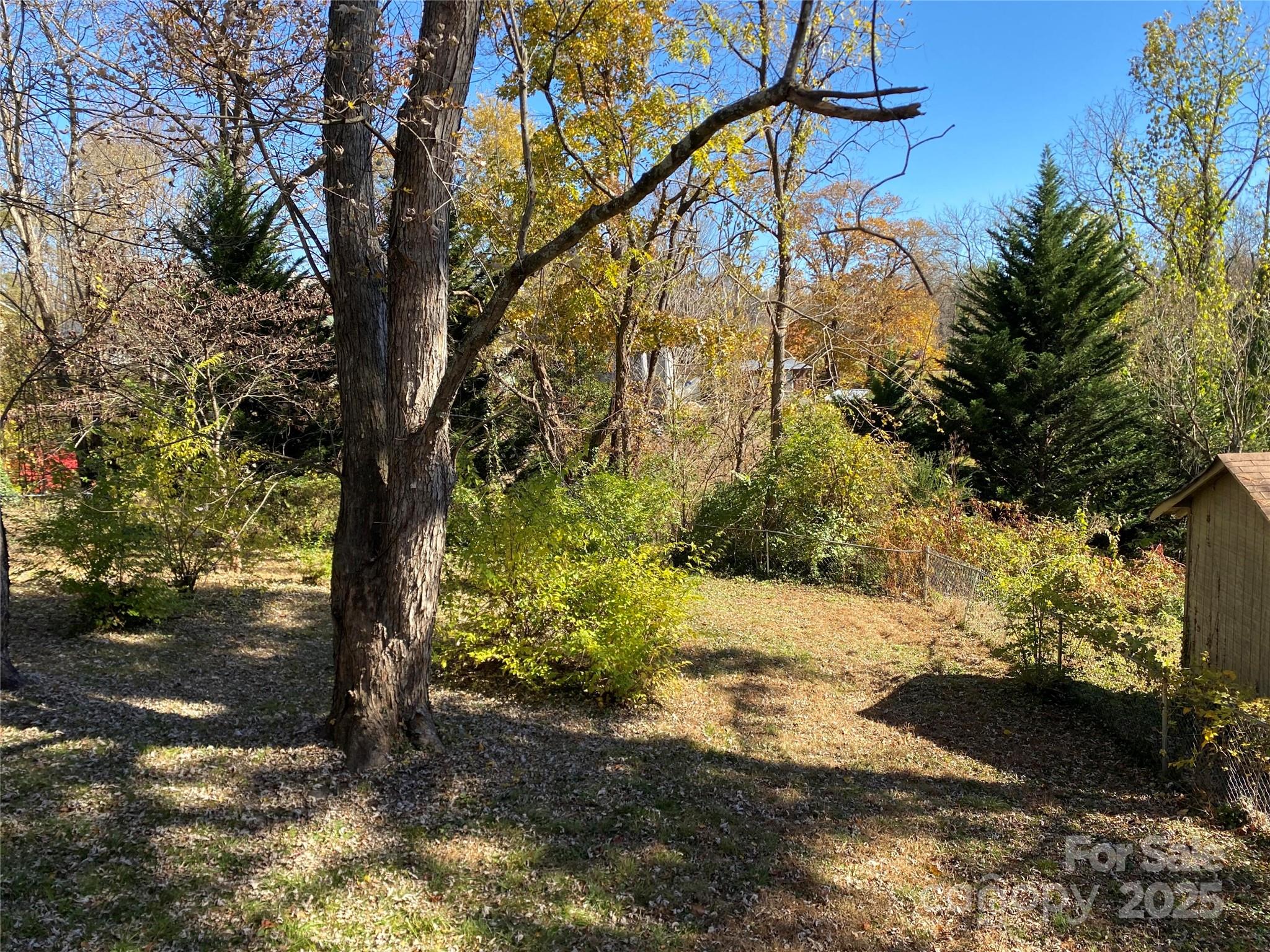 24 Ridge Avenue Asheville NC 28803