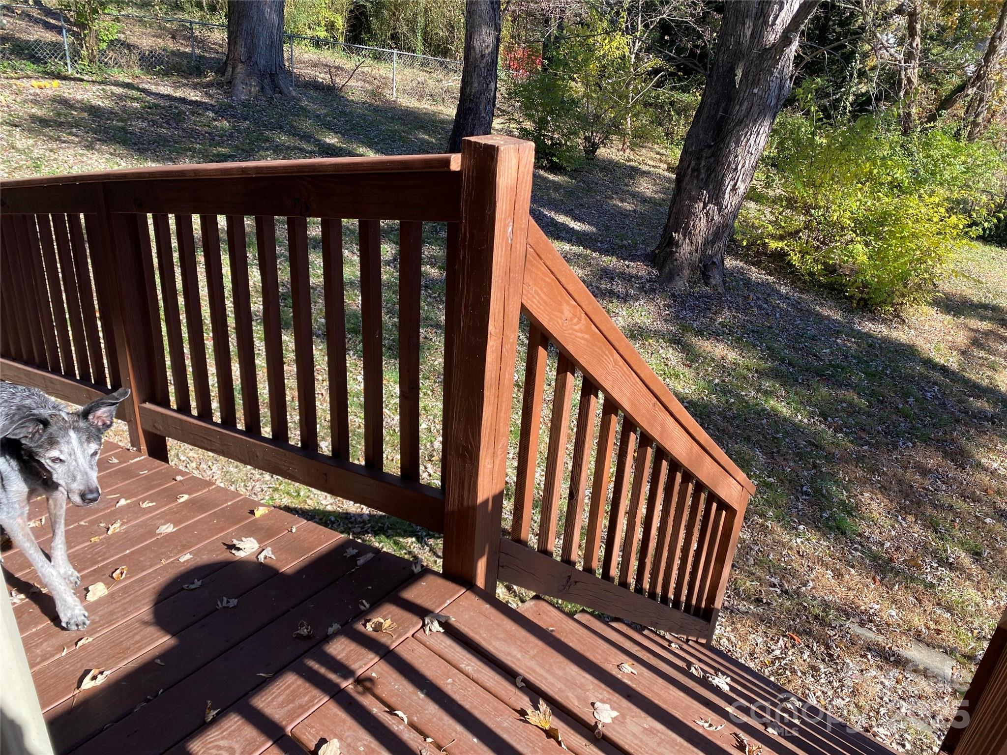 24 Ridge Avenue Asheville NC 28803