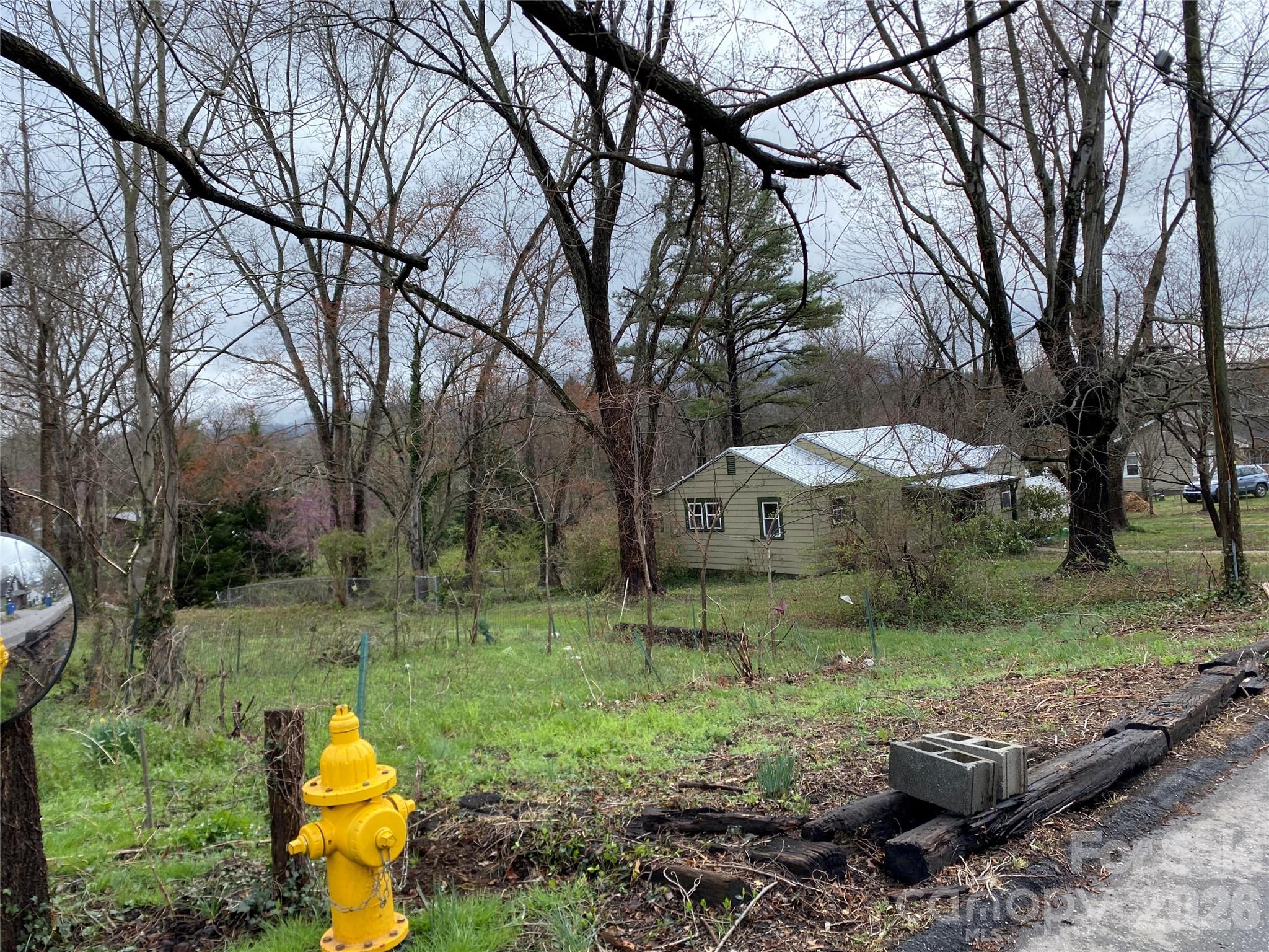 24 Ridge Avenue Asheville NC 28803