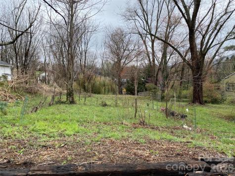 24 Ridge Avenue Asheville NC 28803