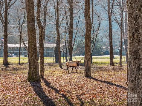 74 Badd Lane Maggie Valley NC 28751