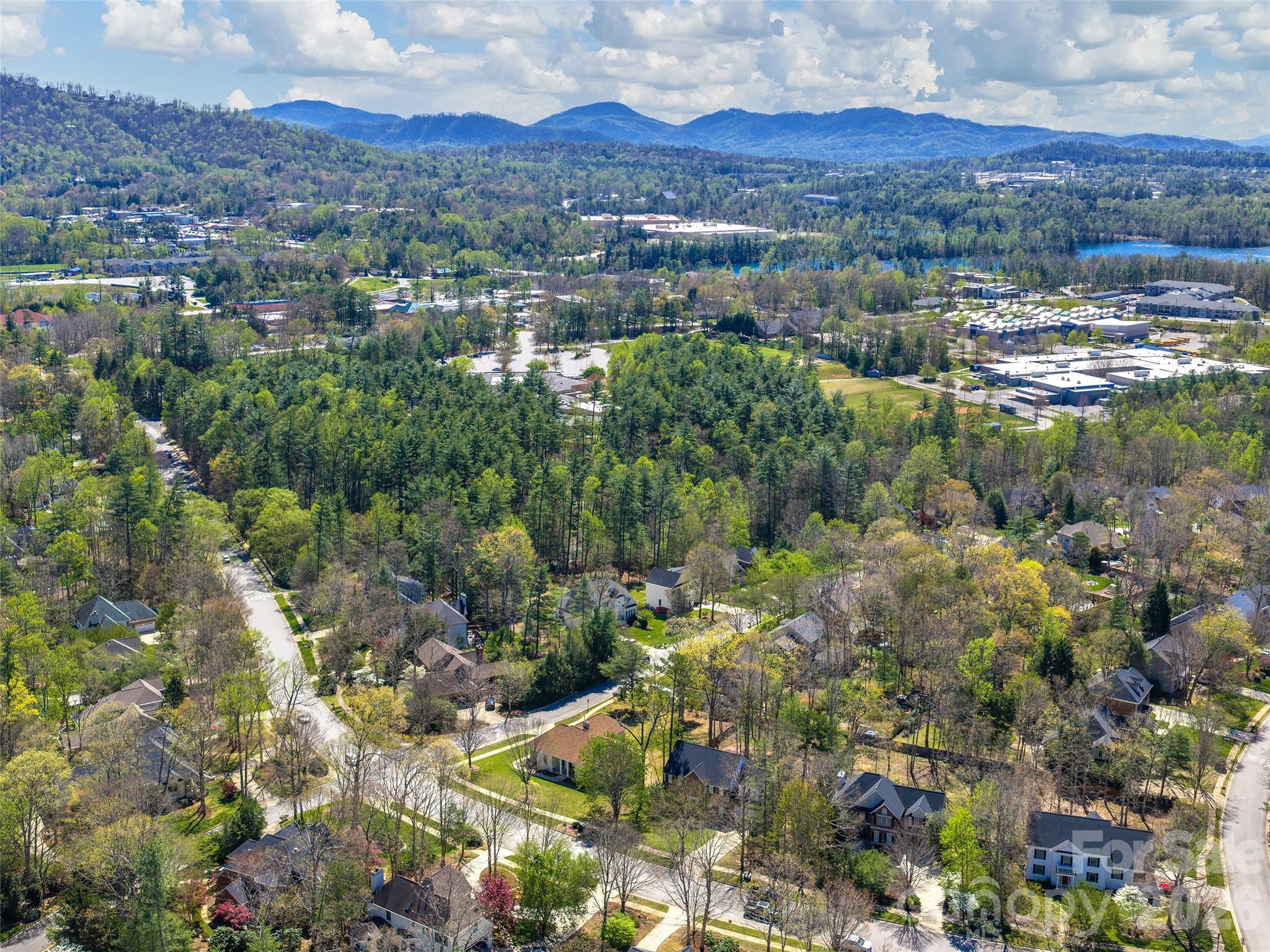 508 Pinchot Drive Asheville NC 28803