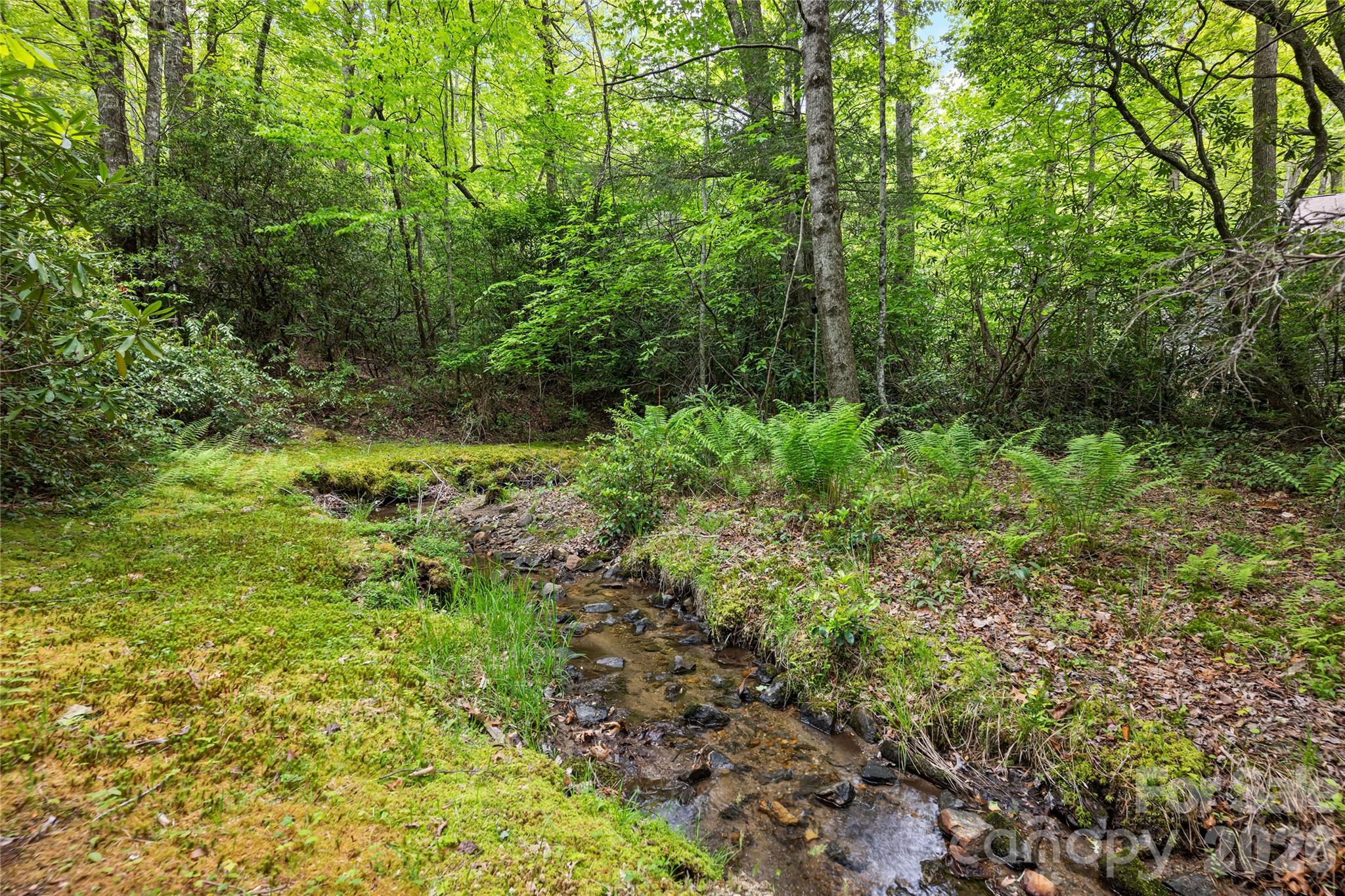 560 Toxaway Court Lake Toxaway NC 28747