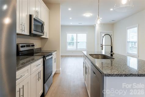 4 Wyndom Lane Asheville NC 28805