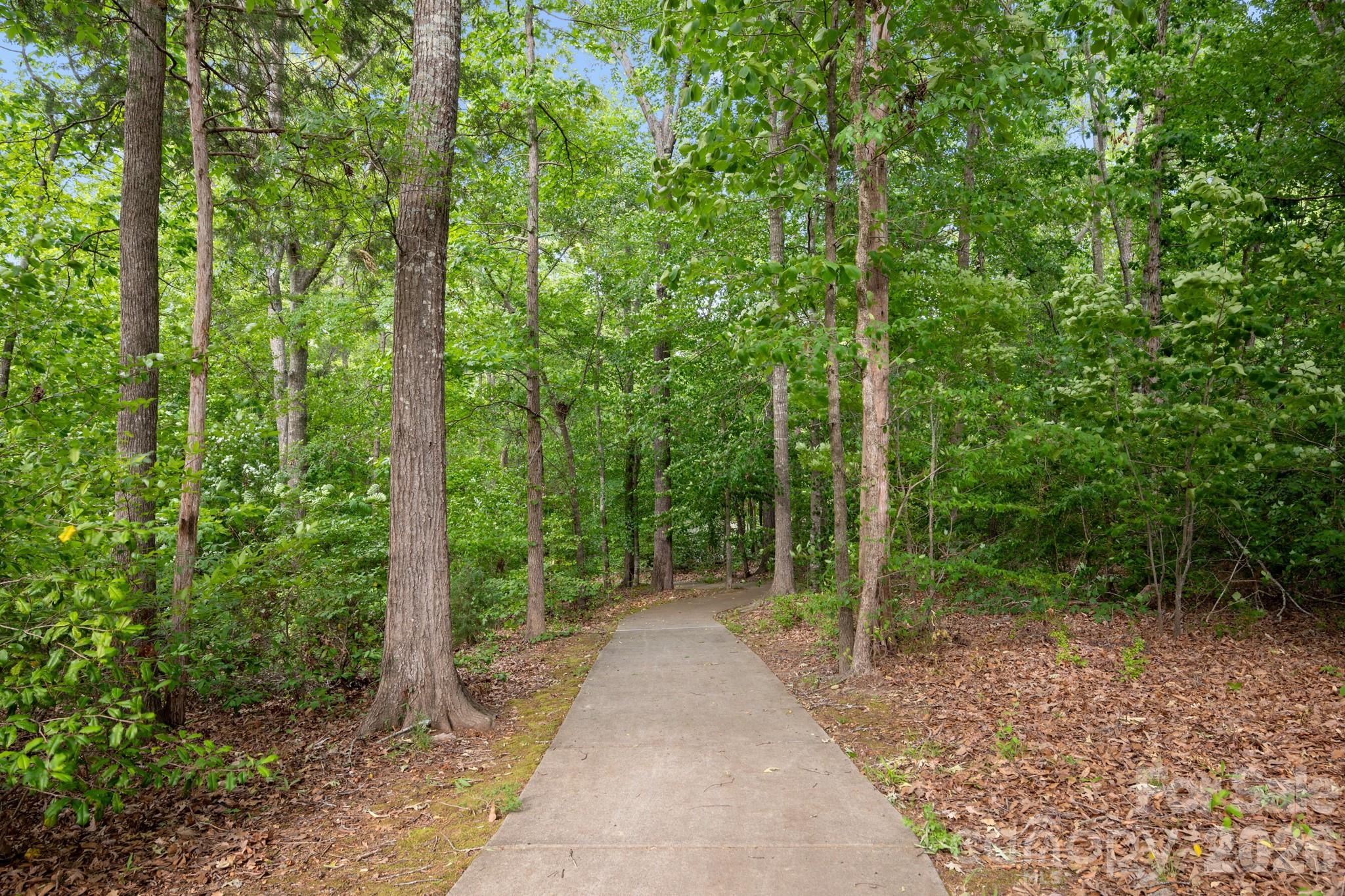 4118 Perth Road Indian Land SC 29707