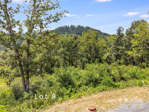 344 Espen Ridge Asheville NC 28804