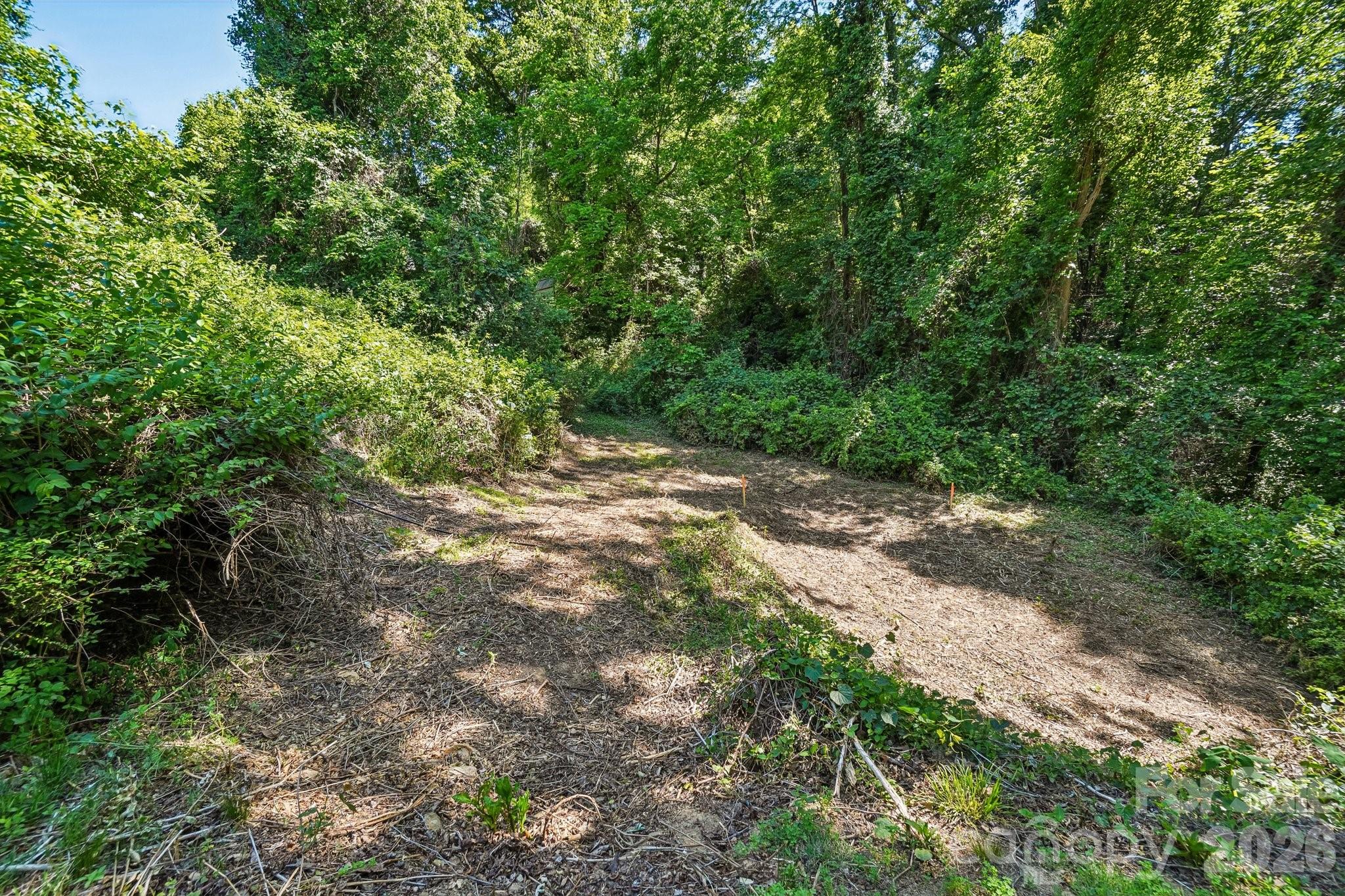 3 View Street Asheville NC 28803